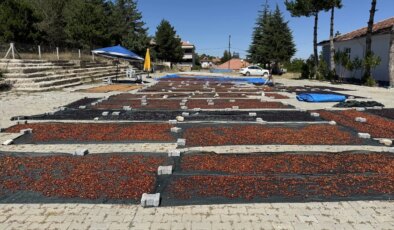 Yozgat’tan Japonya’ya Kiraz İhracatı